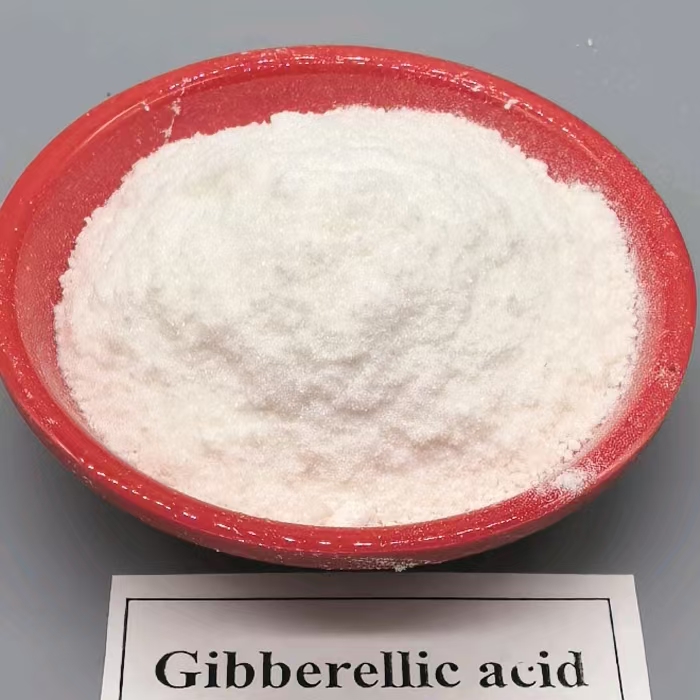 Gibberellic acid (GA-3) 90%TC plant growth regulator (21)