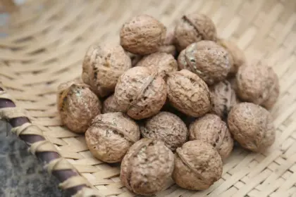 Premium Walnut Kernels Healthy Nuts