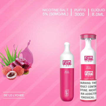 Hot Sale disposable FLUM FLOAT 3000 puffs