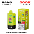 Disposables Bang Leader 300k Puff Rechargeable Vape Poland