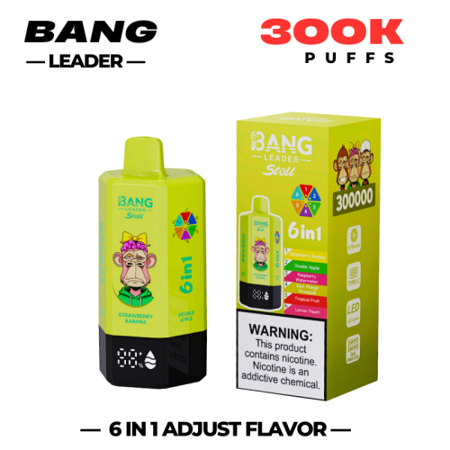 Disposables Bang Leader 300k Puff Rechargeable Vape Poland