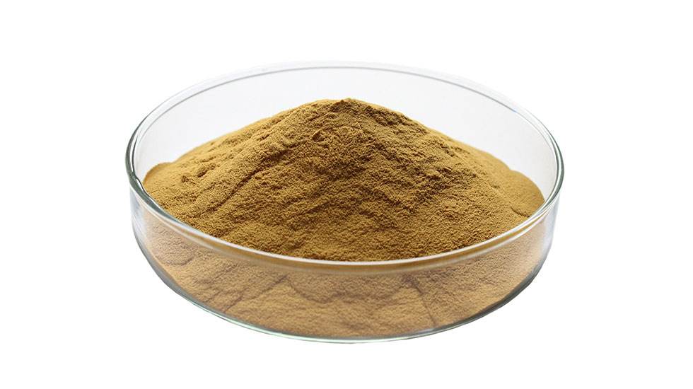 Siberian Cocklebur Powder