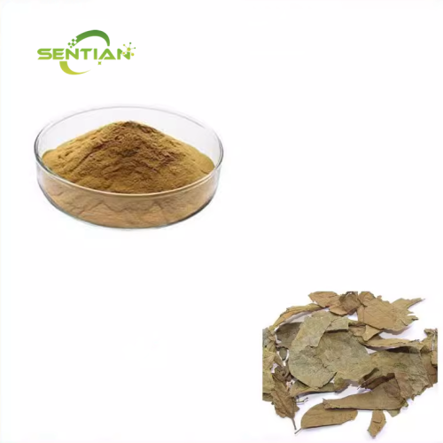 Natural Paniculata Extract Powder
