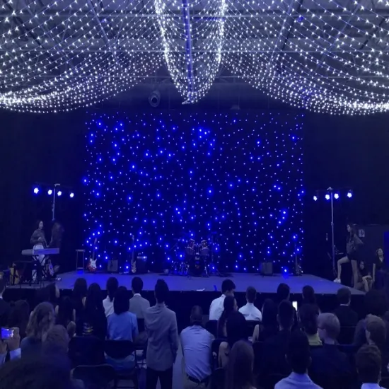 Homei Lighting 4x6M Blue and White LED Star Curtain Backdrop for Night Clubs