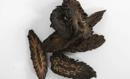 Top Quality Cistanches Herba