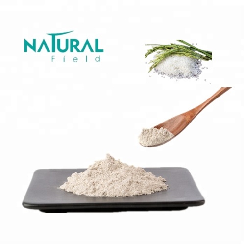 Organic products And Non-Gmo Certified Organic White Rice Protein Powder Factory