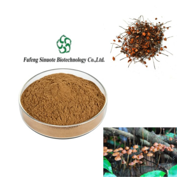 Ghost Needle Mushroom Extract: Pure Immune Support Supplement