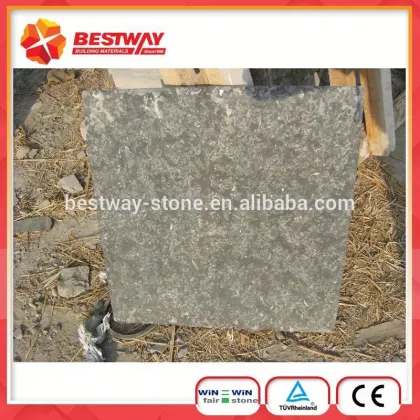 Fossil Brown Limestone Marble