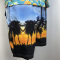 Sunset Beach Packered Boardshorts