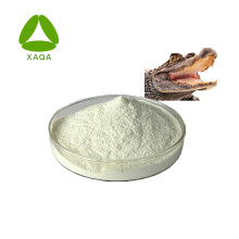 Krokodilpeptid -Extrakt -Krokodilpolypeptidpulver