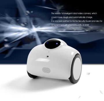 Multi-function Intelligent Robot