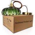 Green petal fruit tray glass lampshade pendant lamp