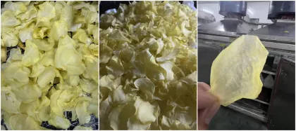 Potato Chips drying process