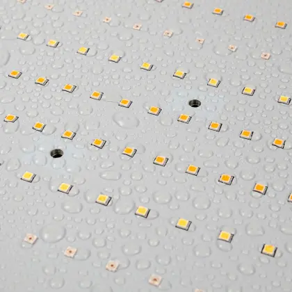 GE light bulbs for colors power indoor planting