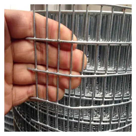 Hot Dipped Galvanized Welded Wire Mesh - Anping 1/2 x 1/2 Mesh