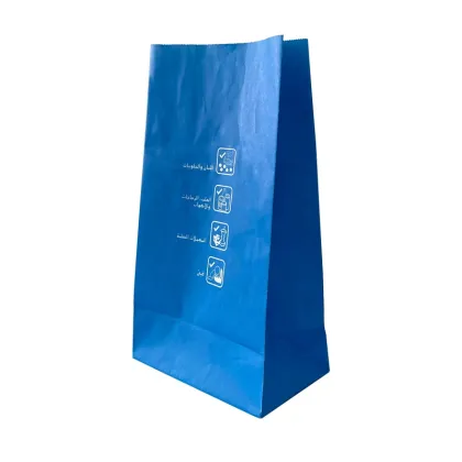 Customized Pharma Medical Bags with Printed Logo for Medicine Packaging