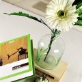 Φούσκα από γυαλί λουλούδι πράσινο ανακυκλωμένο γυάλινα βάζα