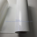 white glossy PS sheet for thermoforming cups plates