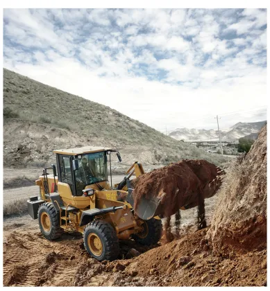 Diseal Engine Loader FL936H Construction Machinery