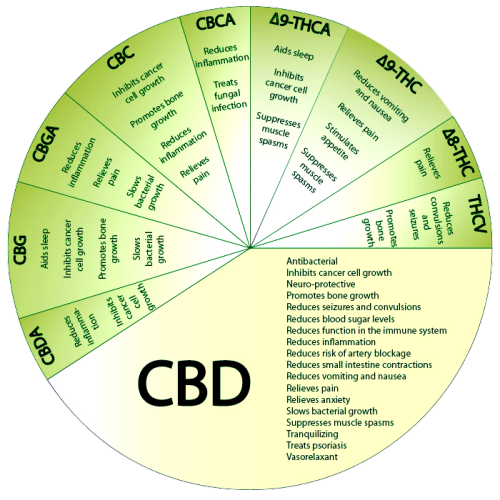 Polvo de aislamiento de CBD natural 100% puro Polvo CBD