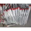 Zinc Coated Spiral Blade and ground screw anchor