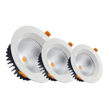 Ronse LED Downlights: 30W, 20W, 40W otel ve oturma odaları için ayarlanabilir spot ışığı