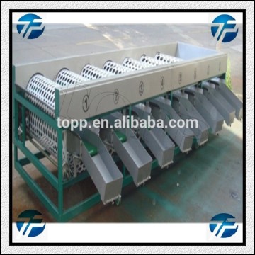 Professional Automatic Fruit Washing And Sorting machine Price