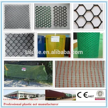 HDPE plastic net(geonet) Ce121 CE131 CE151 CE161 CE163 CE181