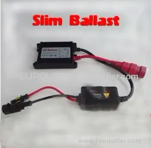 Induction Electric Ballasts 