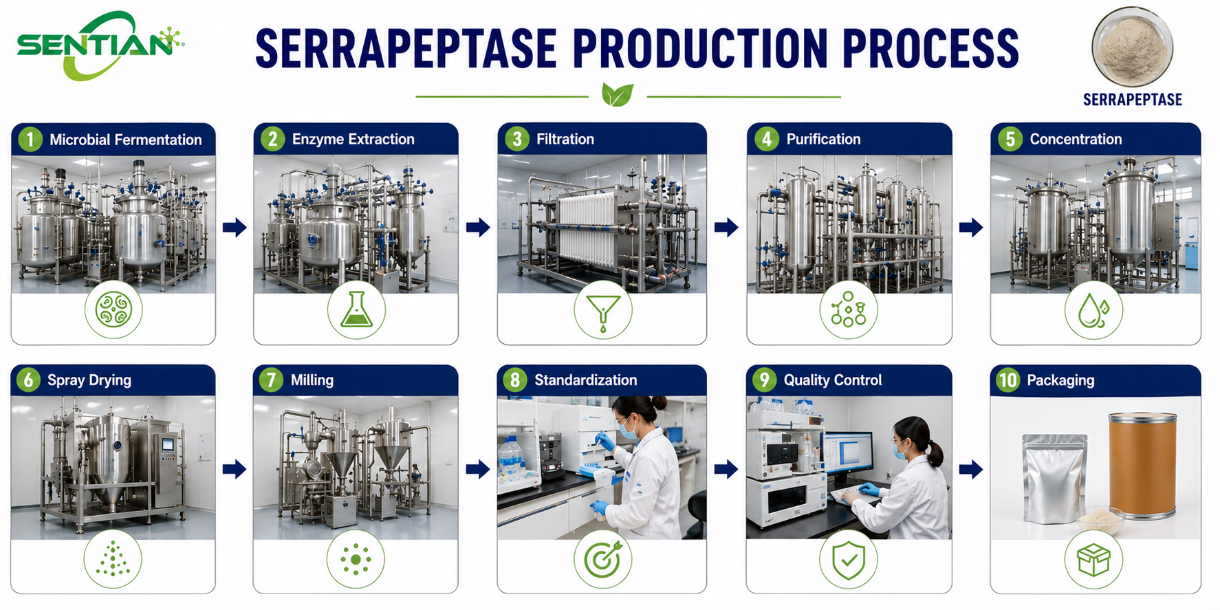 SERRAPEPTASE1