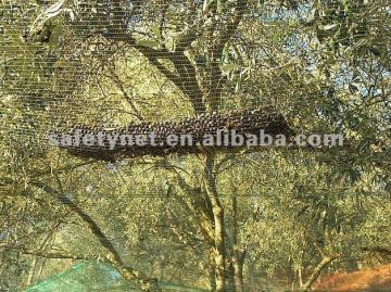 agriculture olive net,olive harvest/collecting net ,Agricultural Olive Net