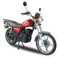 TZ Hub-Motor Electric Motorcycle