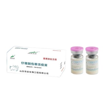 Vaccin viu Paratyphus pentru purcei