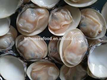 Wholesale Meretrix lyrata Frozen Seafood Hard Clam