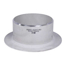 Stainless Steel Flange Joint for Industrial Applications