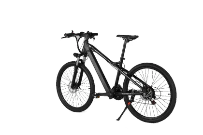 Shimano 21 speed electric bicycles