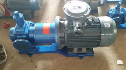 Magnetic drive gear pump