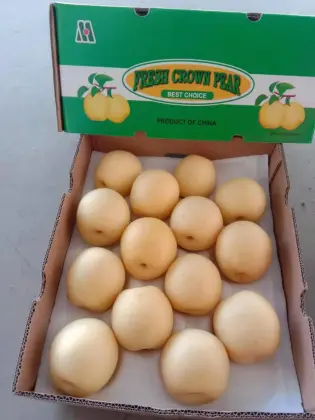 Organic fresh pear fruit