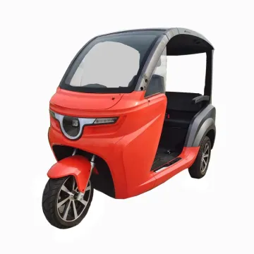 EEC Coc Hight Speed Power City off Road Electric Tricycle