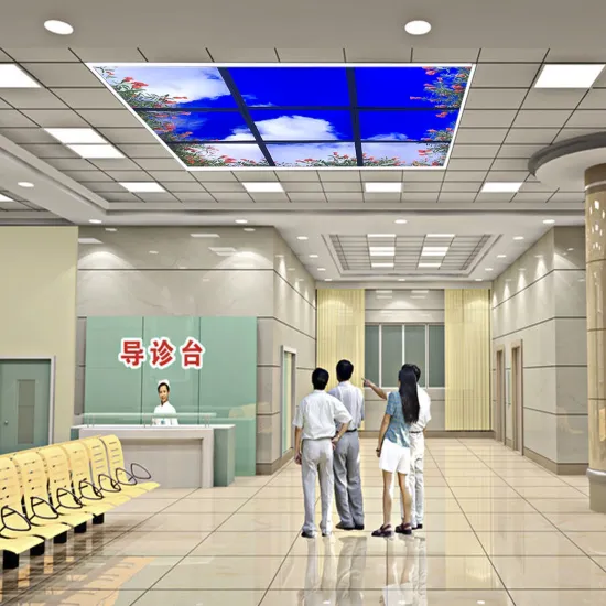 Artificial Skylight LED Blue Sky Ceiling Light Panel 600x600mm