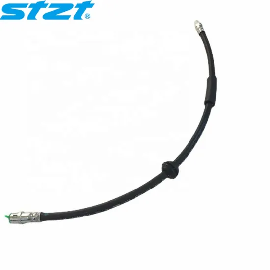 STZT 2514200348 W251 Auto Parts Front Brake Hose Assembly for Mercedes Benz Accessories W251" 

However, for better SEO and clarity, you might consider shortening or simplifying it slightly:

"Front Brake Hose Assembly STZT 2514200348 for Mercedes Benz W2