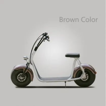 Electric Skateboard 800W New Design Fashion City Board