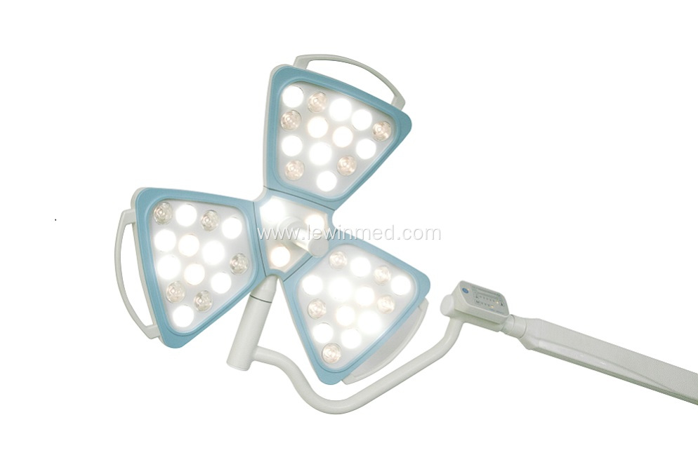 Flower type LED ot light