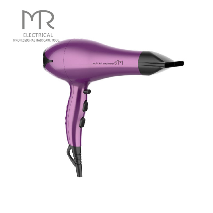 Professional Electric Hair Dryer Salon Hotel Hair Dryer 2200 Hair Dryer