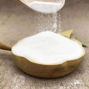 Low Dosage Prebiotics Xylo-Oligosaccharide for Probiotics