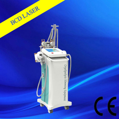 Rf Ratio Frequency Cryolipolysis Slimming Machine With Massage Function