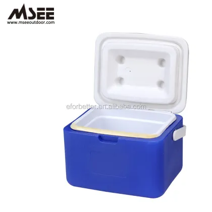 Coolest 5L Insulation Plastic Cooler Box
