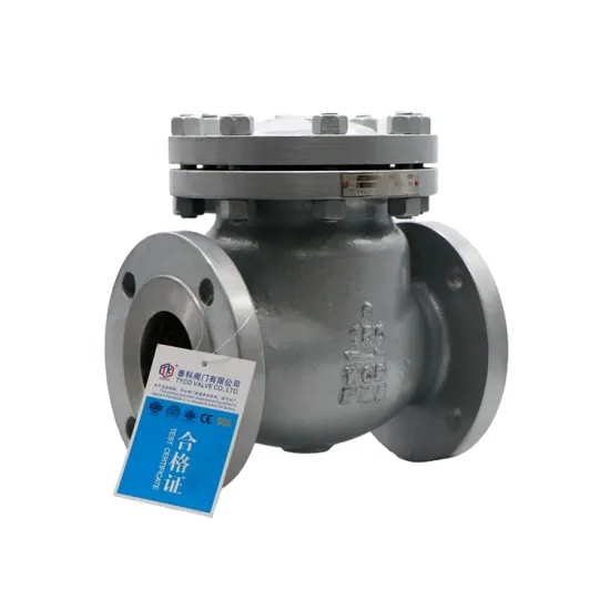 Taike Valve China Factory ANSI Stainless Steel SS304 SS316 Swing Check Valve Non Return Check Valve Price