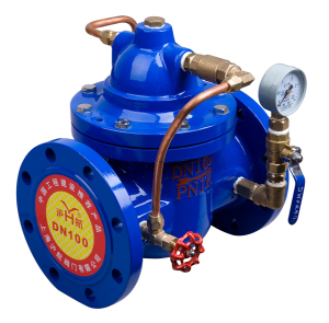300X Flow Control Check Valve