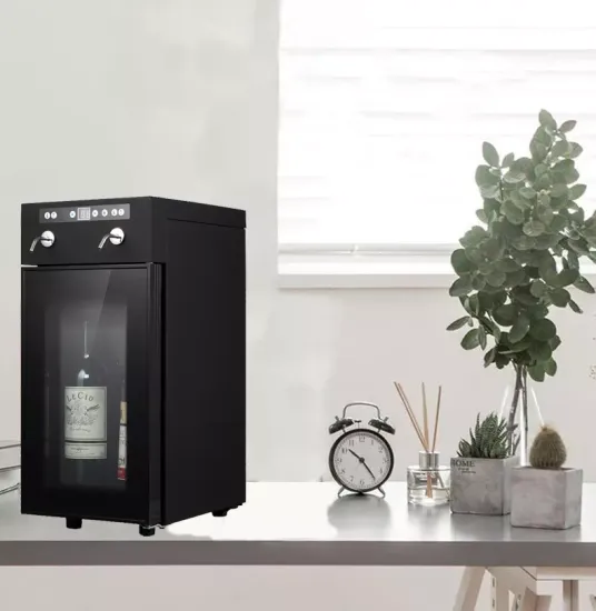 Commercial Automatic Wine Station with Argon Gas - 2 Bottles Wine Bar Preserver and Dispenser